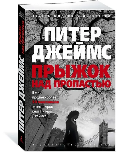 Прыжок над пропастью - фото 2