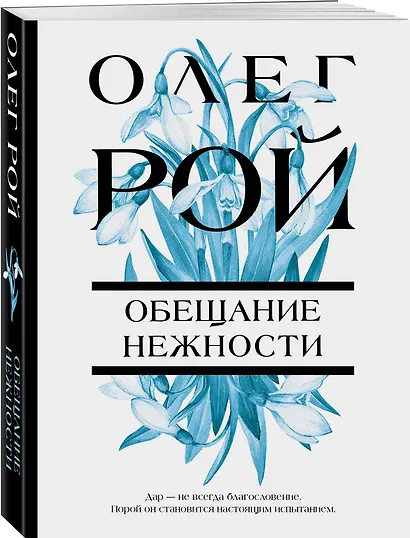 Обещание нежности: роман - фото 3