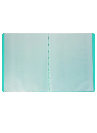 Папка 10 файлов А4 пластик 1,0мм - фото 3