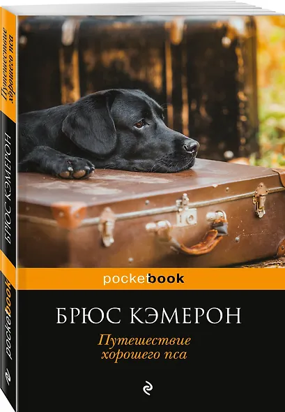 Я его пес, он мой мальчик (комплект из 2 книг) - фото 3