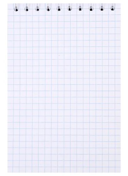 Блокнот А6, 60 л "Санкт-Петербург", спираль - фото 2