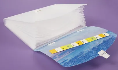 Портфель А4 12отд. "Клод Моне. Прогулка по скалам", ассорти - фото 8