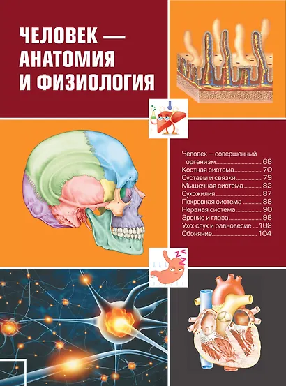 Большая детская 4D энциклопедия с дополненной реальностью - фото 7