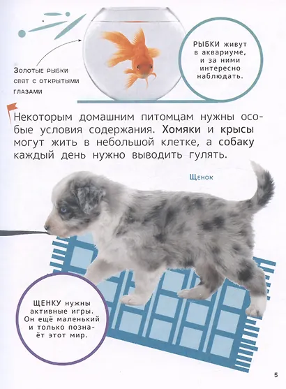 Домашние любимцы. Энциклопедия для первого чтения с крупными буквами - фото 6