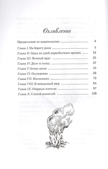 Приключения доисторического мальчика - фото 2