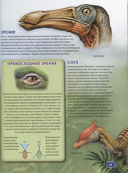 Как жили динозавры.Детская энциклопедия( - фото 6