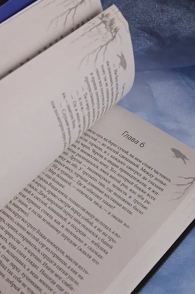 Сказ о Владе-вороне - фото 11