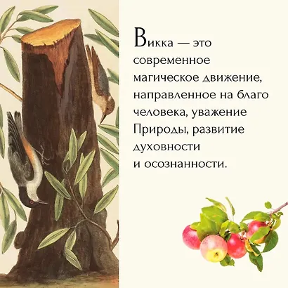 Магия трав и волшебный бестиарий. Сборный комплект из 2-х книг с шоппером - фото 11