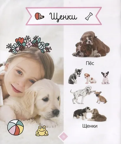 Главная книга малыша. Зверята. Фотокнига - фото 2