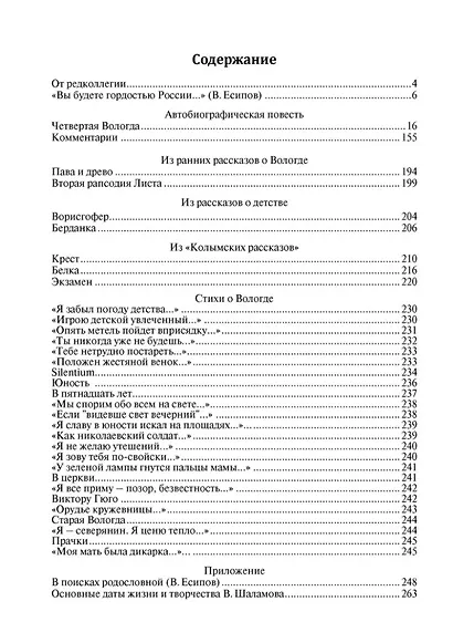 Четвертая Вологда: повесть, рассказы, стихи - фото 2