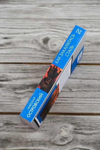 Как закалялась сталь - фото 6