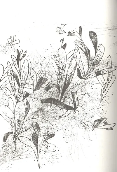 Альдабра. Черепаха, которая любила Шекспира - фото 3