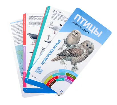 Птицы Среднего Урала. Воробьиные и неворобьиные. - фото 3