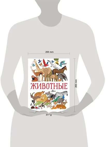 Животные - фото 3