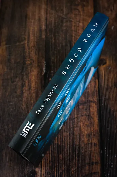 Выбор воды. Роман - фото 7