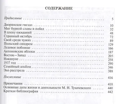 Тухачевский - фото 2
