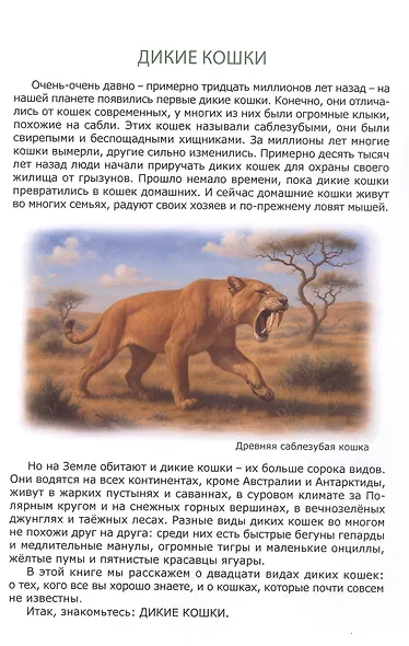 Знакомьтесь: дикие кошки - фото 3
