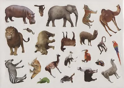 111 наклеек. Зоопарк - фото 4