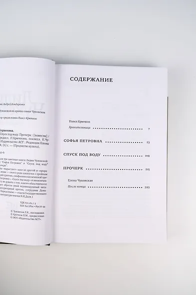 Софья Петровна. Спуск под воду. Прочерк - фото 9