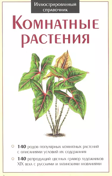 Комнатные растения - фото 1