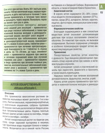 Самые необходимые лекарственные растения. Характеристики, применение, рецепты, препараты - фото 4
