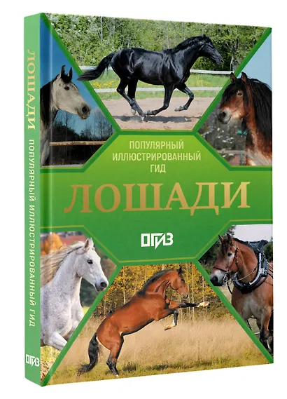 Лошади. Иллюстрированный гид - фото 3