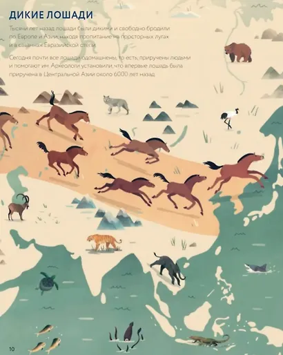 Лошади: дикие и прирученные - фото 4