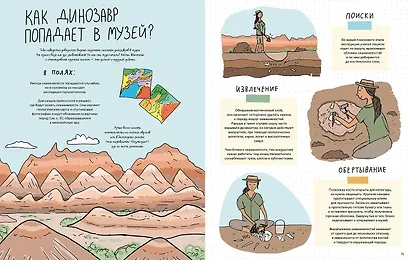 Камни и кости : Окаменелости и истории, которые они рассказывают - фото 4