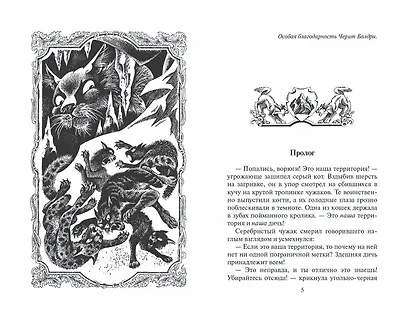 Отверженные - фото 2