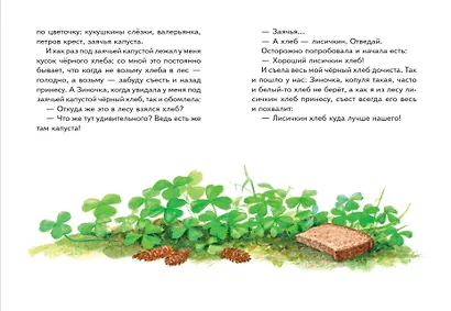 Моя Родина. Рассказы (ил. С. Ярового) - фото 12