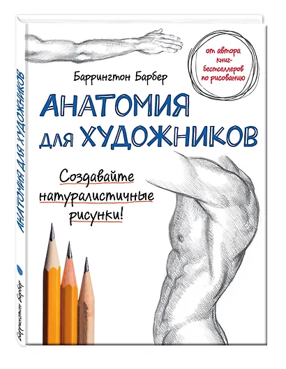 Анатомия для художников - фото 3