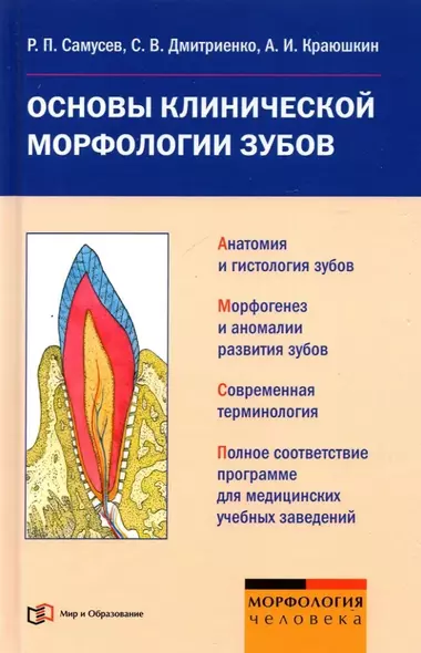 Основы клинической морфологии зубов: Учебное пособие для студентов медицинских учебных заведений - фото 1