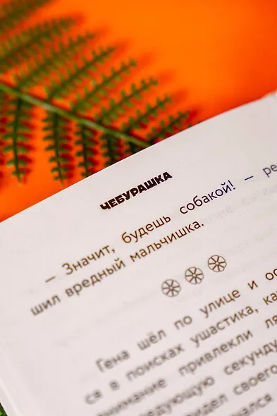 Чебурашка 2. Официальная новеллизация - фото 13