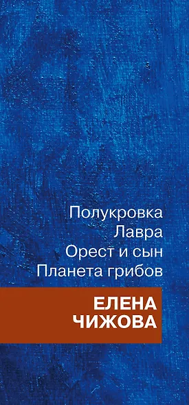 Время женщин Елены Чижовой - фото 4