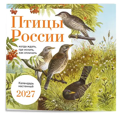 Птицы России: когда ждать, где искать, как отличать. Календарь настенный на 2027 год (300х300 мм) - фото 2