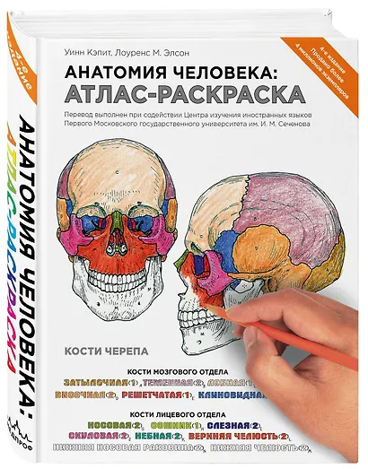 Анатомия человека: атлас-раскраска. 4 -е изд. - фото 3
