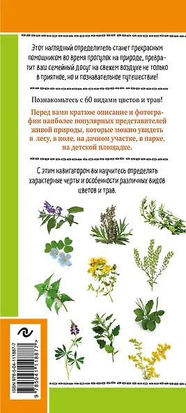 Цветы и травы. Мир удивительных растений. Наглядный карманный определитель - фото 2