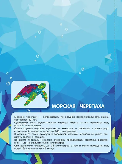 Птицы и подводный мир - фото 9