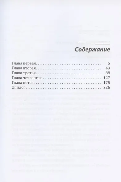 Новогодний башмачок - фото 2