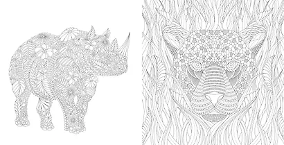 Чудеса природы. Золотая коллекция любимых иллюстраций - фото 5