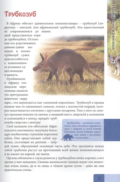Необычные животные. Энциклопедия - фото 4
