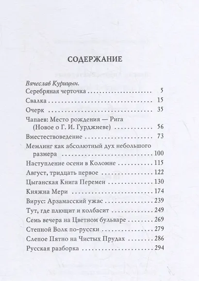 Цыганский роман: повести, рассказы - фото 2