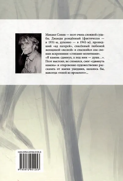 Живущим руку протяну. Поэтическая биография Михаила Сопина - фото 2