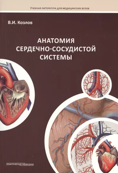 Анатомия сердечно-сосудистой системы: учебное пособие для студентов медицинских вузов - фото 1