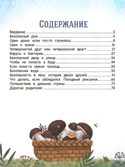 Безопасный мир - фото 6