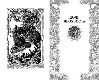 Нерассказанные истории. Долг Ярохвоста. Сборник - фото 2