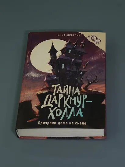 Тайна Даркмур-Холла. Призраки дома на скале - фото 9