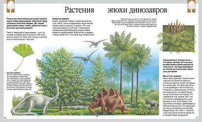 Секреты природы - фото 8