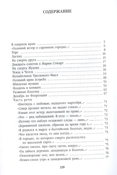 Полдень в комнате - фото 2