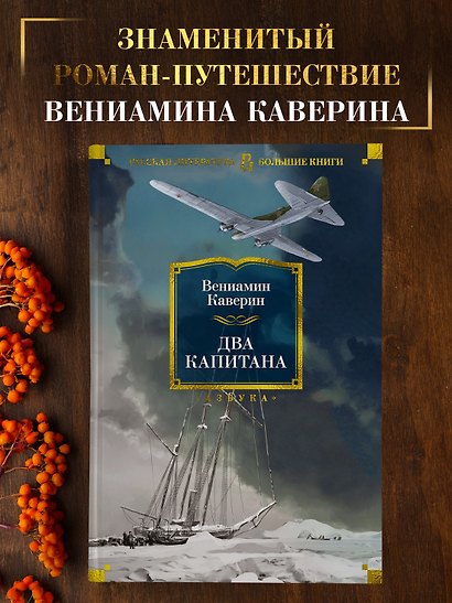 Два капитана - фото 4